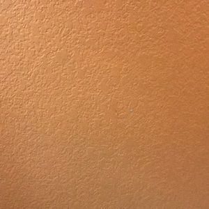 Meet your Posher, Upasana